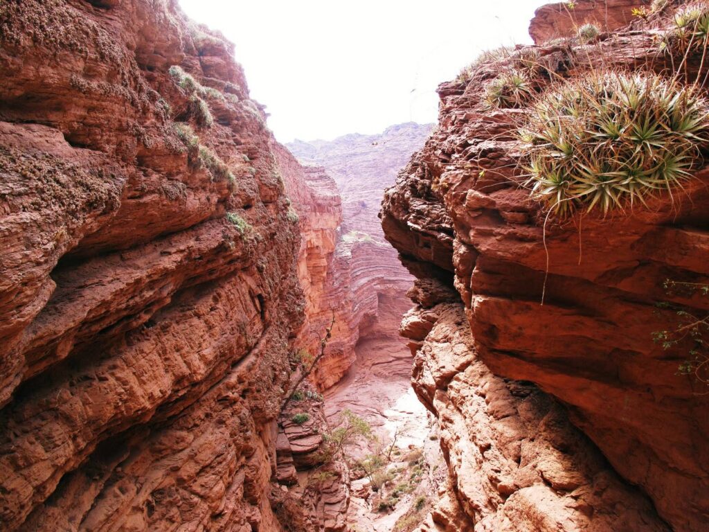 Cafayate, Argentina2
