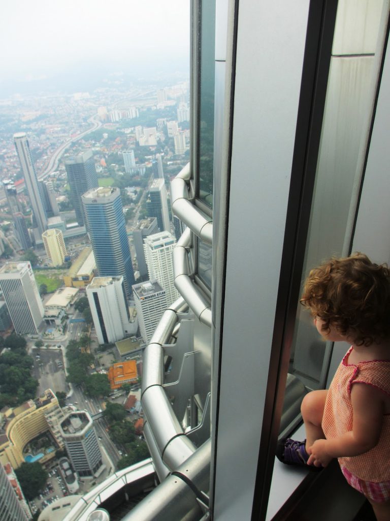 Petronas Towers2