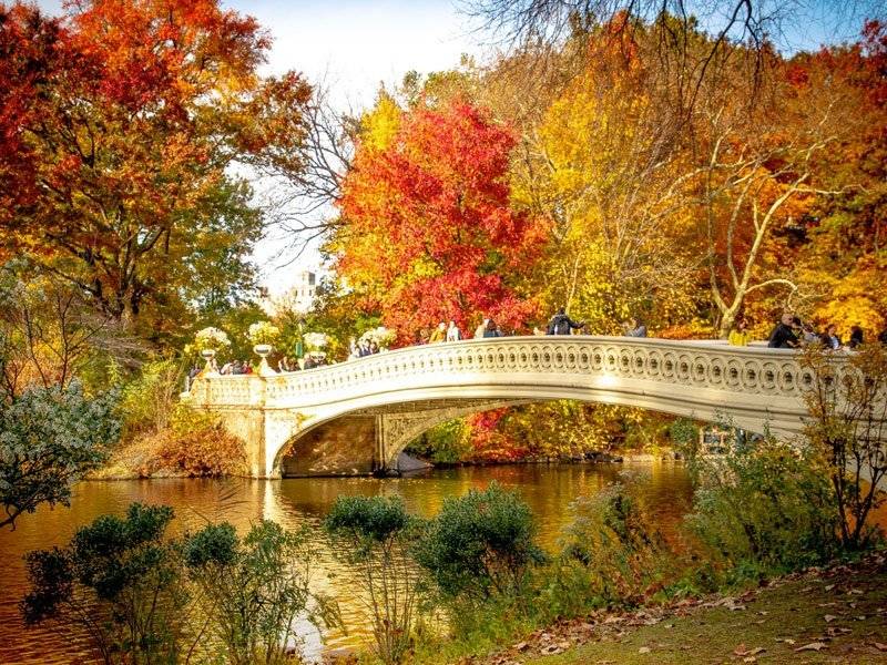 Bow Bridge - central park - pontos turísticos nova york - atrações gratuitas