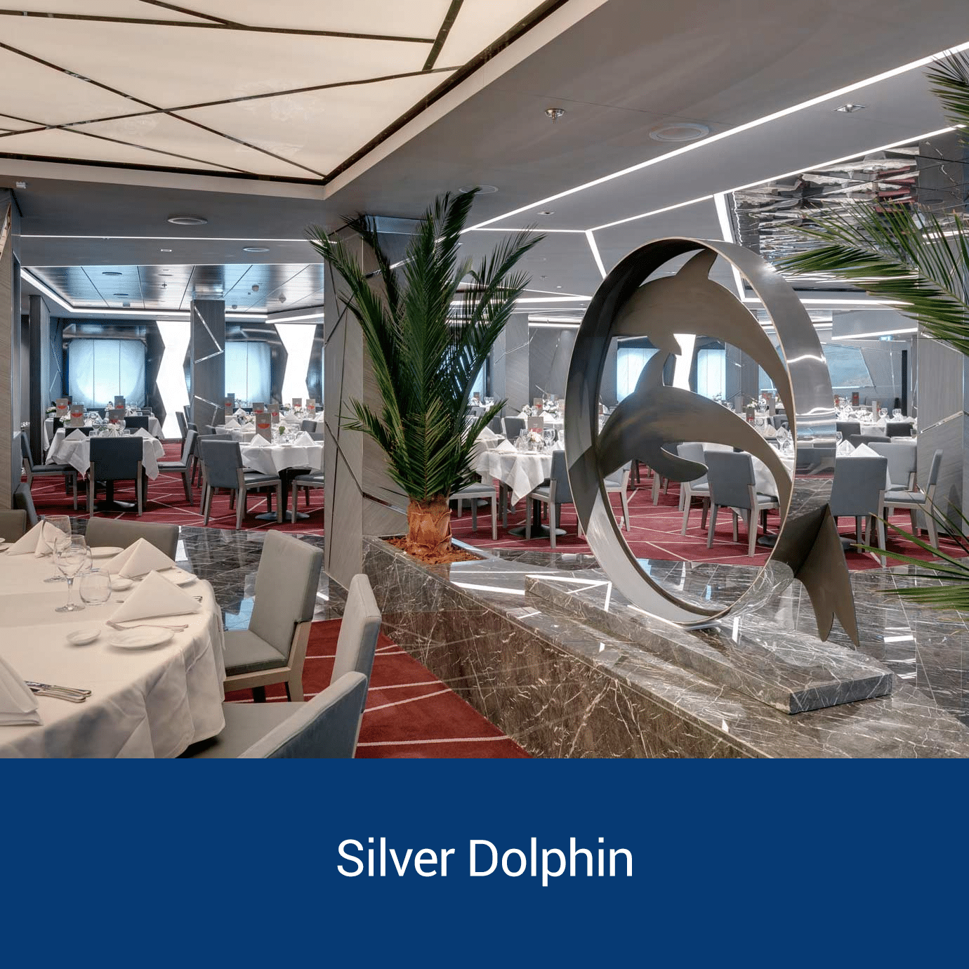 Silver Dolphin 2