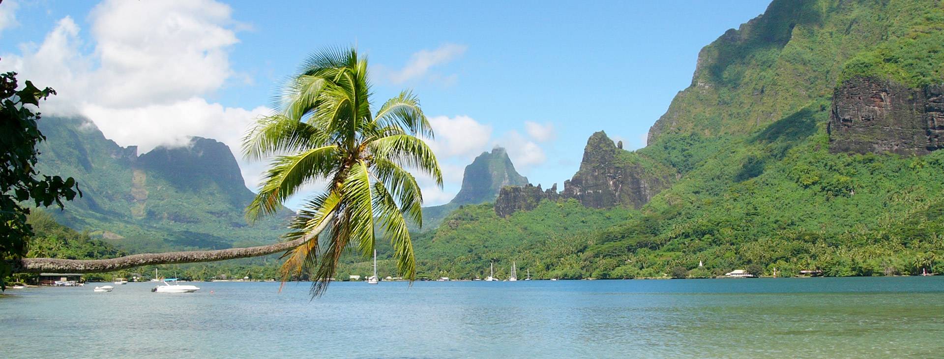 topo-moorea