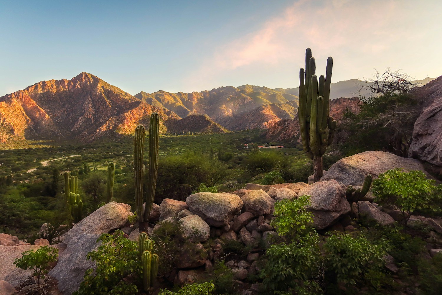 Cafayate - Argentina