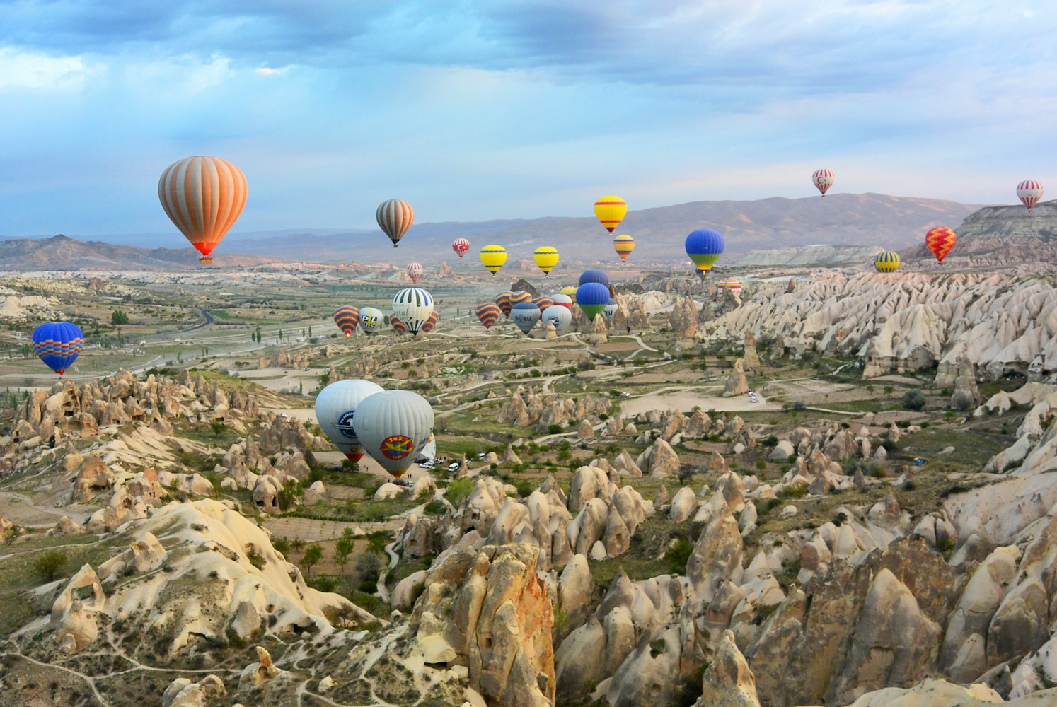 Turquia topo