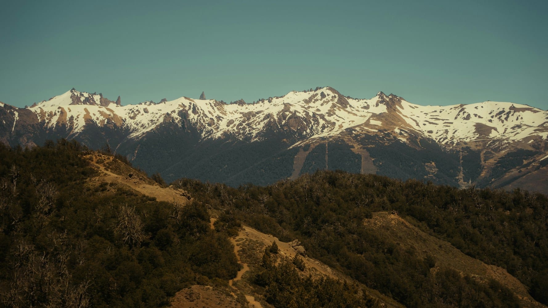 Photo by Bryan Brittos on Unsplash