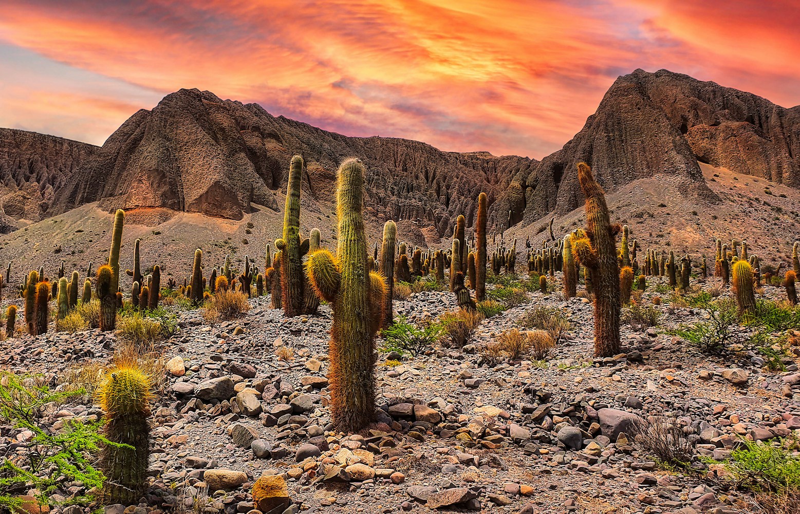 Salta - Argentina