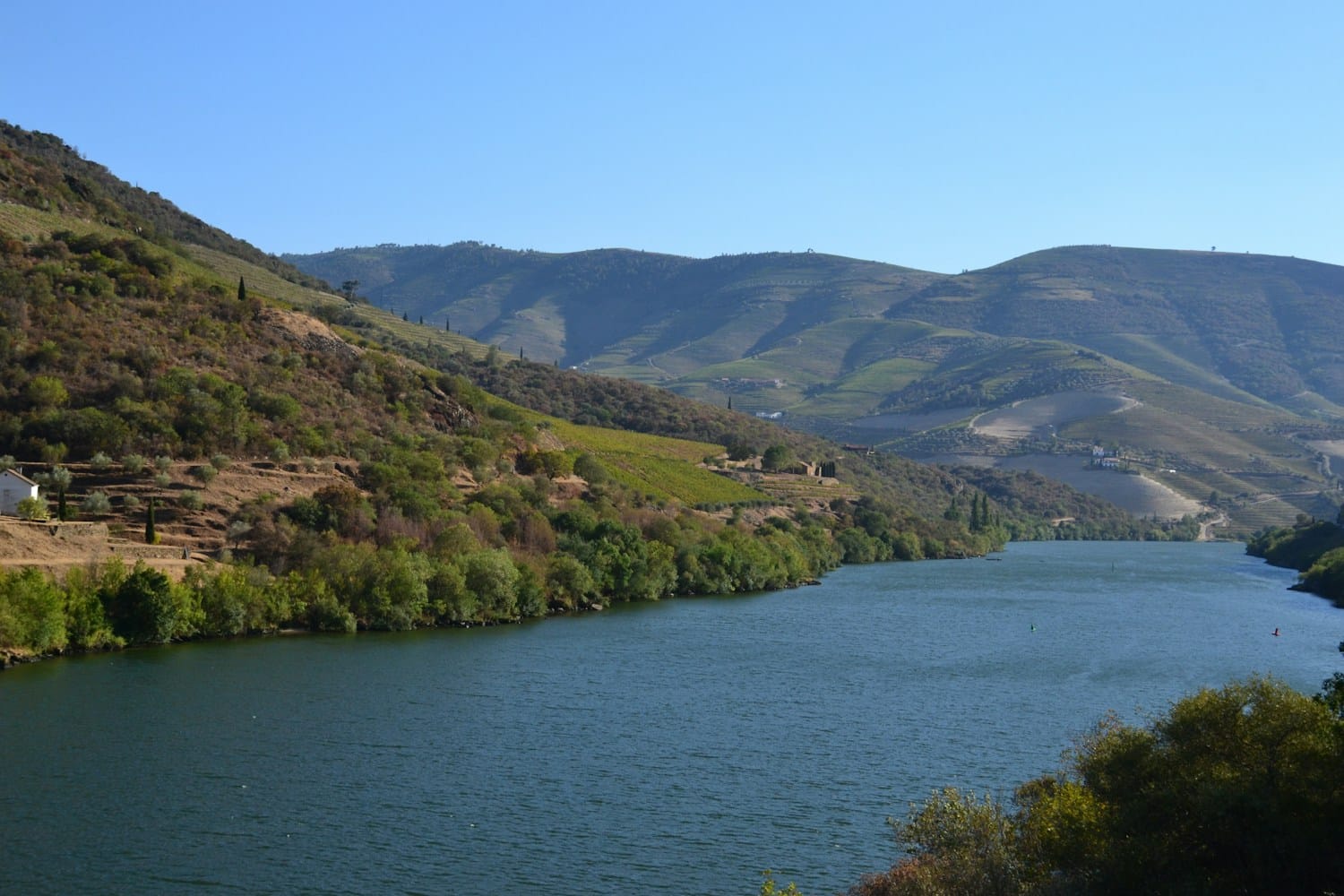 Rio Douro