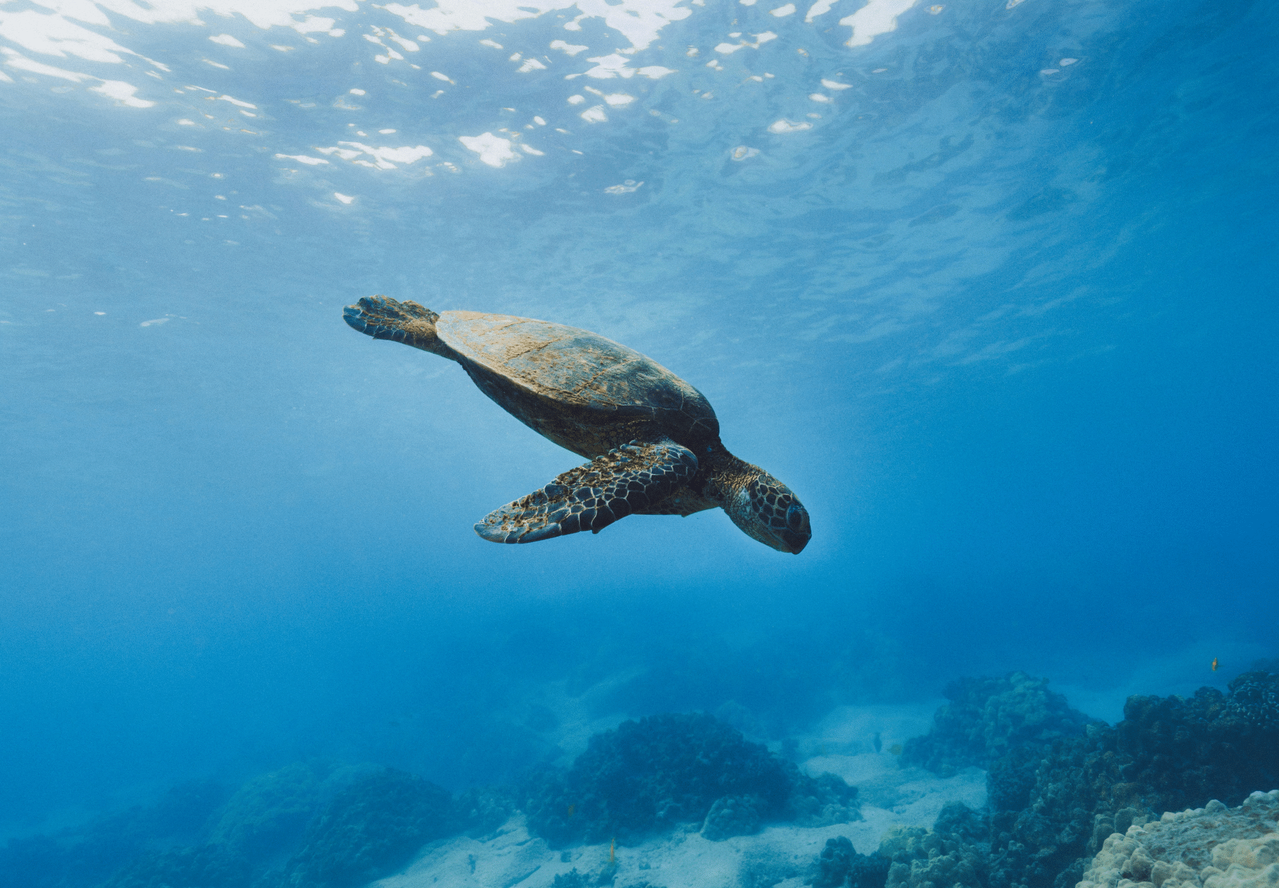 Galapagos - Equador3