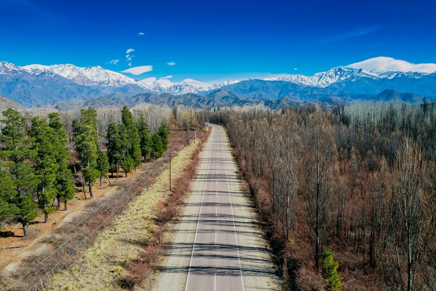 Mendoza