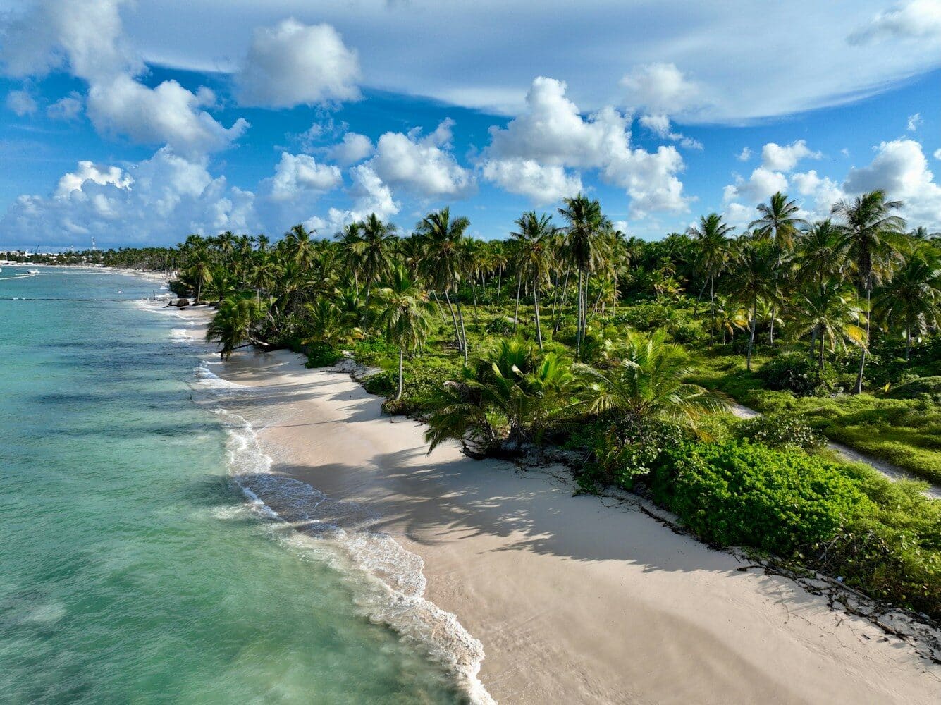 Punta Cana