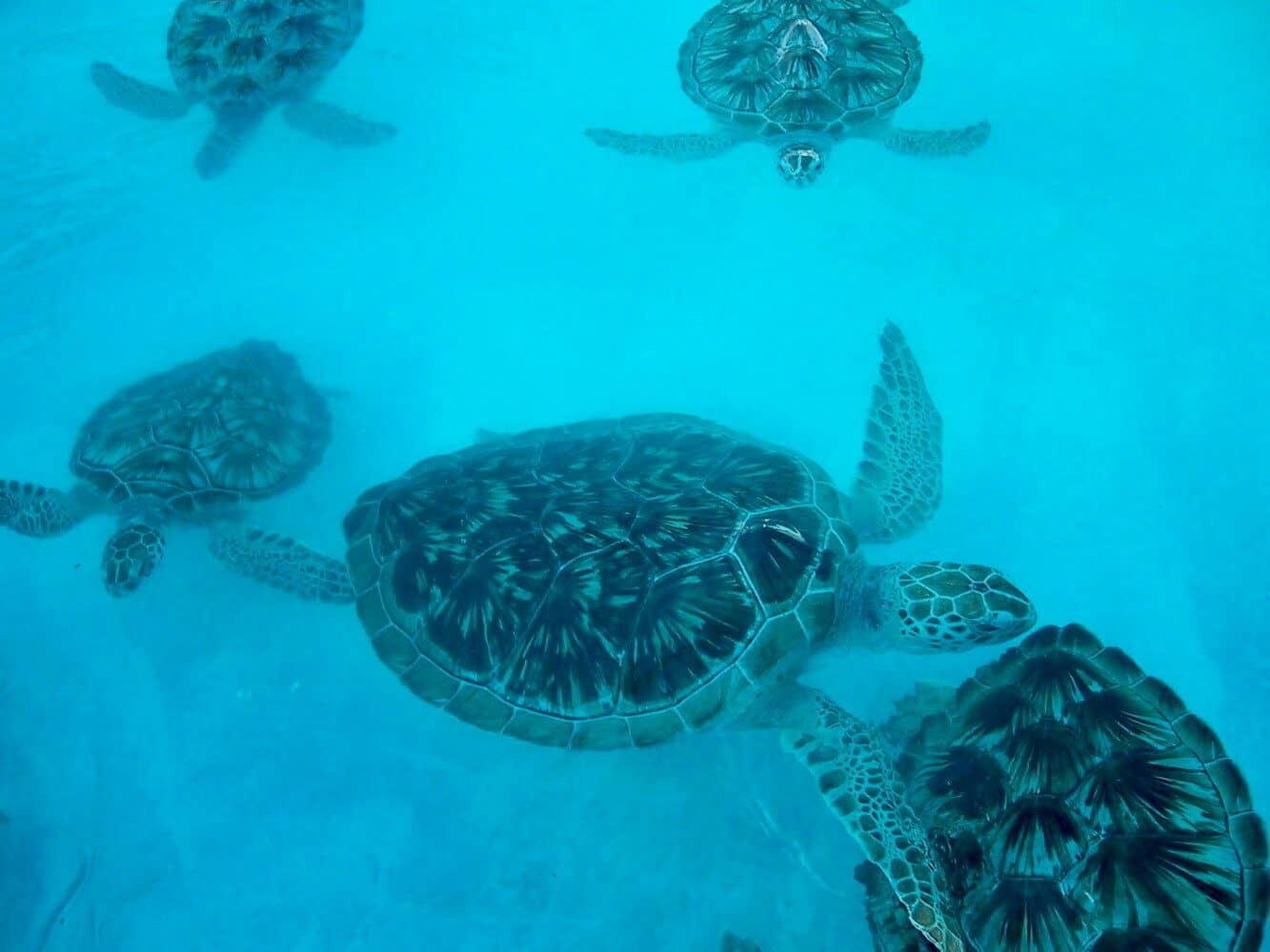 Cancún