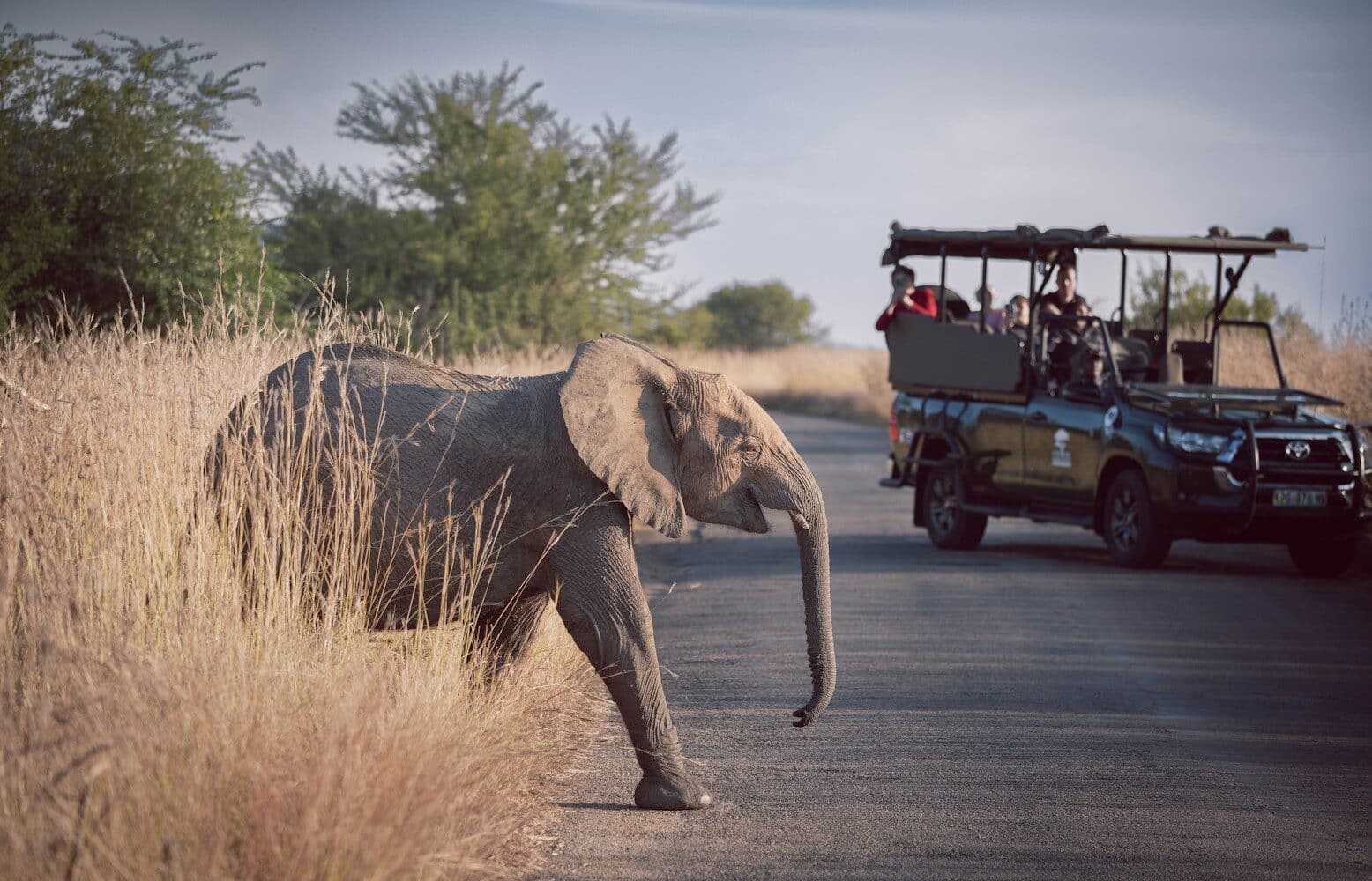 Parque Nacional Pilanesberg - África do Sul