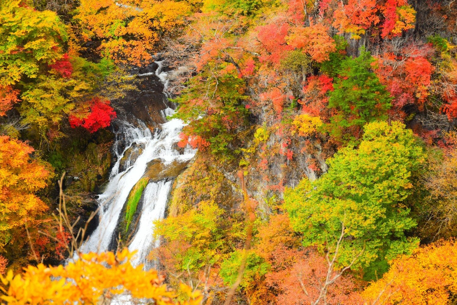 Nikko
