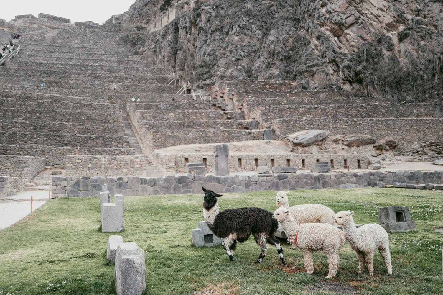 Ollantaytambo - Peru