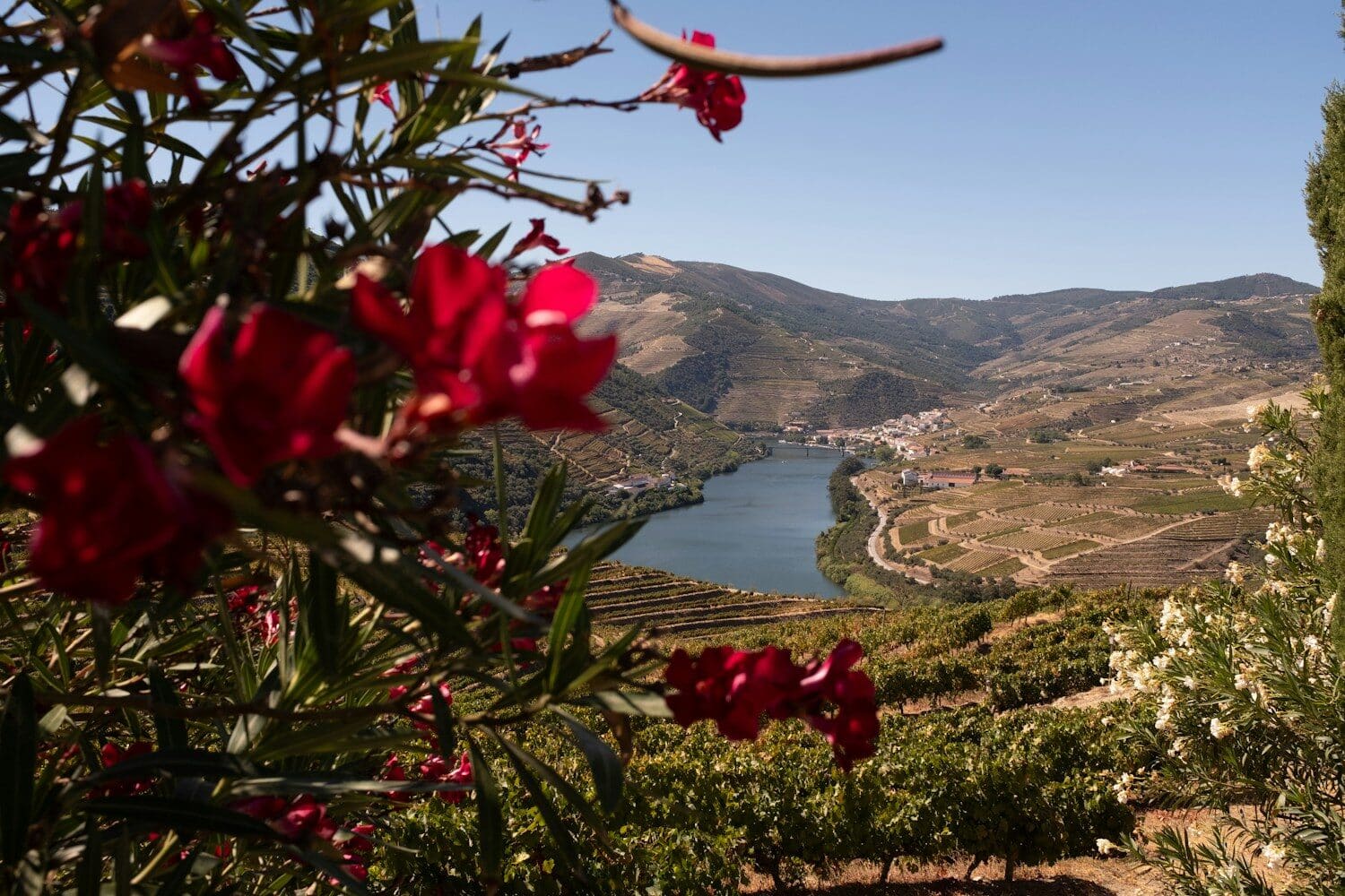 Rio Douro